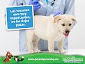 Pet & Grooming Clínica Y Hospital Veterinario.