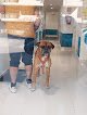 Negocio Pet Path-Hospital Veterinario