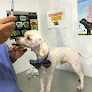 Negocio Pet Set Veterinaria Medica Integral