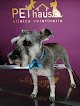 Negocio Pethaus Clínica Veterinaria