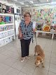 Petlove Silver Can