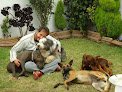 Negocio Pet's Anatomy Hospital Veterinario De Especialidades Médicas