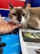 Pets & Company