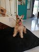 Pets & Vets Central Veterinaria (Mundo Animal)