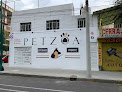 Negocio Petzoa, Especialidades Médicas Veterinarias