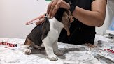 Negocio Posta Veterinaria