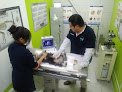 Salud Veterinaria De Puebla