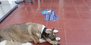 Negocio San José Clínica Veterinaria