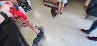 Negocio San Luis Veterinary Hospital