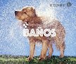 Negocio Santacruz Veterinaria