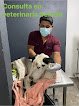 Negocio Serveti Clínica Veterinaria