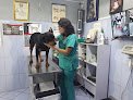 Negocio Servi-Vet