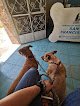 Servicios Veterinarios