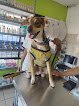 Sevetab (Servicio Veterinario De Tabasco)