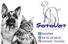 Sotovet