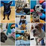 Negocio Unidad Clínica Veterinaria Centro