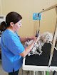Unidad De Cuidados Veterinarios