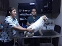 Negocio Urgencia Consultorio Veterinario