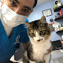 Negocio Urgencias Veterinaria Animedica