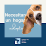 Urgencias Veterinarias 24 Horas