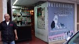 Urgencias Veterinarias Las 24 Horas