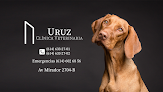 Negocio Uruz Clínica Veterinaria - Chihuahua