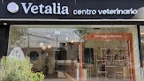 Negocio Vetalia Metepec - Hospital Veterinario