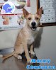 Negocio Veterinaria 24 Hrs. Dra. Ana Serrano.
