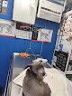 Negocio Veterinaria Animal Center