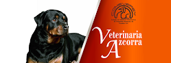 Veterinaria Azcorra
