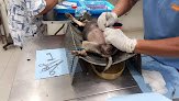 Negocio Veterinaria Bacalar