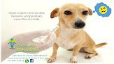 Veterinaria Biosanimal