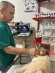 Veterinaria Clinica Y Estetica Canina Perros Y Gatos