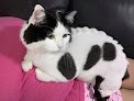 Negocio Veterinaria Clínican Las Américas