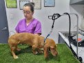 Negocio Veterinaria