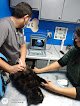 Veterinaria D' Sol | Hospital Veterinario En Tijuana | Oftalmólogo Veterinario En Tijuana | Veterinaria 24 Horas En Tijuana