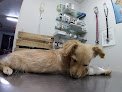 Negocio Veterinaria Del Sol
