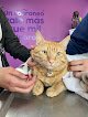Negocio Veterinaria Del Sol