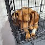 Negocio Veterinaria Dog-Tor