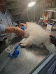 Negocio Veterinaria Dr. Arturo