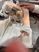 Negocio Veterinaria Ecatepec