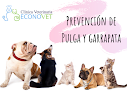 Negocio Veterinaria Econovet