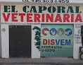 Negocio Veterinaria El