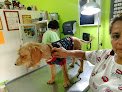 Negocio Veterinaria En Altamira Medivetz La Florida