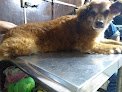 Negocio Veterinaria Garvet