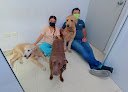 Veterinaria Hábitat