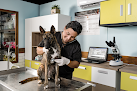 Veterinaria Humanimals Odara