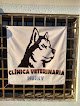 Negocio Veterinaria Husky