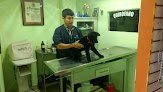 Veterinaria Las Americas