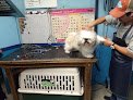 Negocio Veterinaria Las Américas